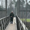 2021_hundeplus_divgruppen_IMG_5394