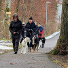 2021_hundeplus_divgruppen_a660042b-bf3d-4bb2-9da5-f8e15cffee4a