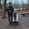 2021_hundeplus_divgruppen_a684cfcc-04eb-4129-bbc0-b735deb9c3b8