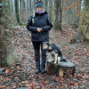 2021_hundeplus_divgruppen_a6a7fd6d-ffb6-455a-a76c-31f66ce34b0a