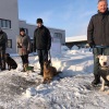 2021_hundeplus_divgruppen_a74de0a1-8706-4e40-9190-f1226c76f84e