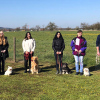 2021_hundeplus_divgruppen_bf9665ac-0eaa-4e38-9756-308a762c55b3