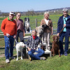2021_hundeplus_divgruppen_c5ca26ea-51a7-41e0-be80-808ce4cef8a4
