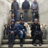 2021_hundeplus_divgruppen_d87656b3-102c-4f08-ad87-79cc9d814657