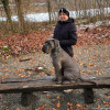 2021_hundeplus_divgruppen_dd78f375-a07f-4863-b140-69683dc4cba5