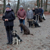 2021_hundeplus_divgruppen_dfc71718-786e-4767-b158-e12a07035c4a