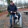 2021_hundeplus_divgruppen_e7221527-fb56-47f4-a378-b66a003077b7