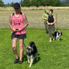 2021_hundeplus_gemGruppen_IMG_8300