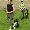 2021_hundeplus_gemGruppen_IMG_8301