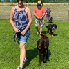 2021_hundeplus_gemGruppen_IMG_8304