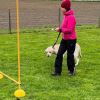 2023_hundeplus_divgruppen_7447437d-2010-4df6-8199-24d50d5ed64f