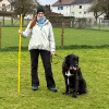 2024_Hundeplus_divGruppen_IMG_3066