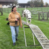 2024_hundeplus_divGruppen_13c7fd24-6b4f-4f29-b008-c7b25d1abc99