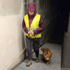 2024_hundeplus_divGruppen_17ae7dd0-d3f5-4ec9-a94d-ddfb06ebd9fc