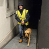 2024_hundeplus_divGruppen_226e5930-5c14-43f1-bb08-d3dfdd17d1f2
