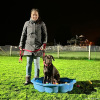 2024_hundeplus_divGruppen_318be688-a28f-4f79-83a1-cce97fa79f48