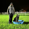2024_hundeplus_divGruppen_4d3c0348-a3d9-45a9-9f0f-7fabfd1ffdbc