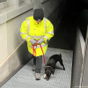 2024_hundeplus_divGruppen_65ed3a6d-8c28-46a6-a367-ab49ead01d72