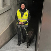 2024_hundeplus_divGruppen_6bc8ce7a-465f-446a-9e9c-8b4e18100748