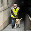 2024_hundeplus_divGruppen_7b7e2a55-386a-42d8-810f-96e2c929431d
