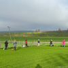 2024_hundeplus_divGruppen_IMG_0310