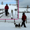 2024_hundeplus_divGruppen_IMG_0950