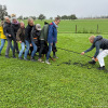 2024_hundeplus_divGruppen_IMG_8162