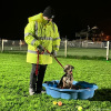 2024_hundeplus_divGruppen_b2a49e9a-58a3-40c3-9303-7ff8fdc37cbf