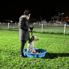 2024_hundeplus_divGruppen_d200c9f5-984d-4b47-8d15-8b90b3993961