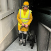 2024_hundeplus_divGruppen_e4a6e5b6-2869-40be-a2e1-79630b4fcd1d