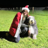 2024_hundeplus_divgruppen_209b6609-b5ed-4299-8e6e-2f20cd6e208e