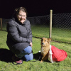 2024_hundeplus_divgruppen_3ea7f6ca-9259-4344-bbc6-d2db15d7d256