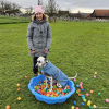 2024_hundeplus_divgruppen_87743aff-98cb-4231-a7b0-be39305fcb78