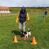 2024_hundeplus_divgruppen_8f57fb9b-3b7b-4685-99eb-7735446e569f