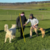 2024_hundeplus_divgruppen_IMG_2578