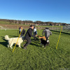 2024_hundeplus_divgruppen_IMG_2597