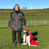 2024_hundeplus_divgruppen_IMG_2619