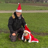 2024_hundeplus_divgruppen_IMG_2841