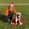 2024_hundeplus_divgruppen_IMG_2854