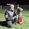 2024_hundeplus_divgruppen_beaa4b33-d61d-45d0-827e-42c6eb08c6be