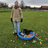 2024_hundeplus_divgruppen_e1265c6d-cebe-4c7a-bb31-5b4ca45d9e6d