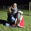 2024_hundeplus_divgruppen_f878eb04-917b-44a7-be84-ffd0371f680f