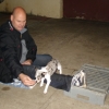 2008_dogdancing_DSC03124