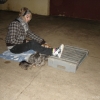 2008_dogdancing_DSC03125