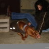 2008_dogdancing_DSC03130