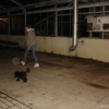 2008_dogdancing_DSC03193