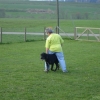 2009_dogdancing_DSC03719