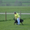 2009_dogdancing_DSC03722