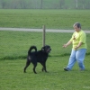 2009_dogdancing_DSC03723