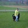 2009_dogdancing_DSC03724